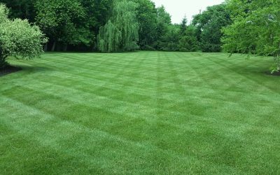 Lawn Care, Lawn Mowing, Grass Cutting, Lawn Maintenace, Lawn Care Business
